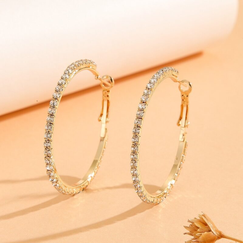 Princess Zircon Statement Earrings - Image 4
